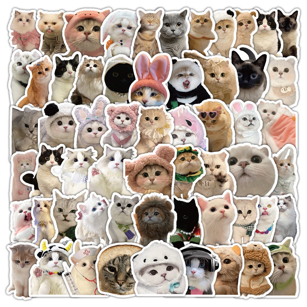 Zestaw 60 naklejek, naklejki do scrapbookingu, naklejki samoprzylepne, estetyczne naklejki do scrapbookingu komputerowego