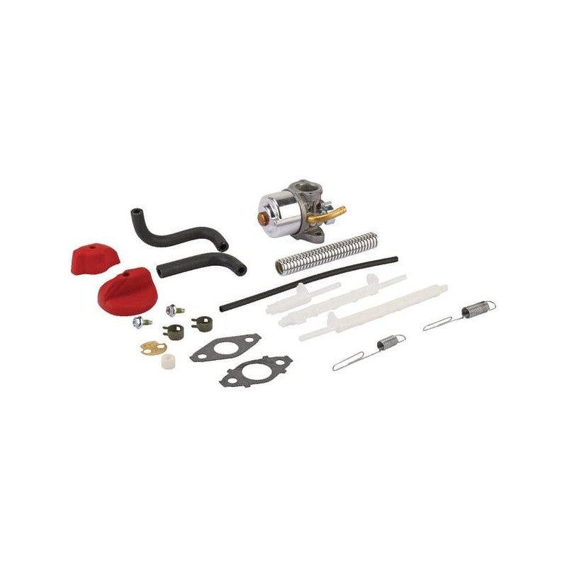 Carburateur BRIGGS ET STRATTON 798917 | Leroy Merlin