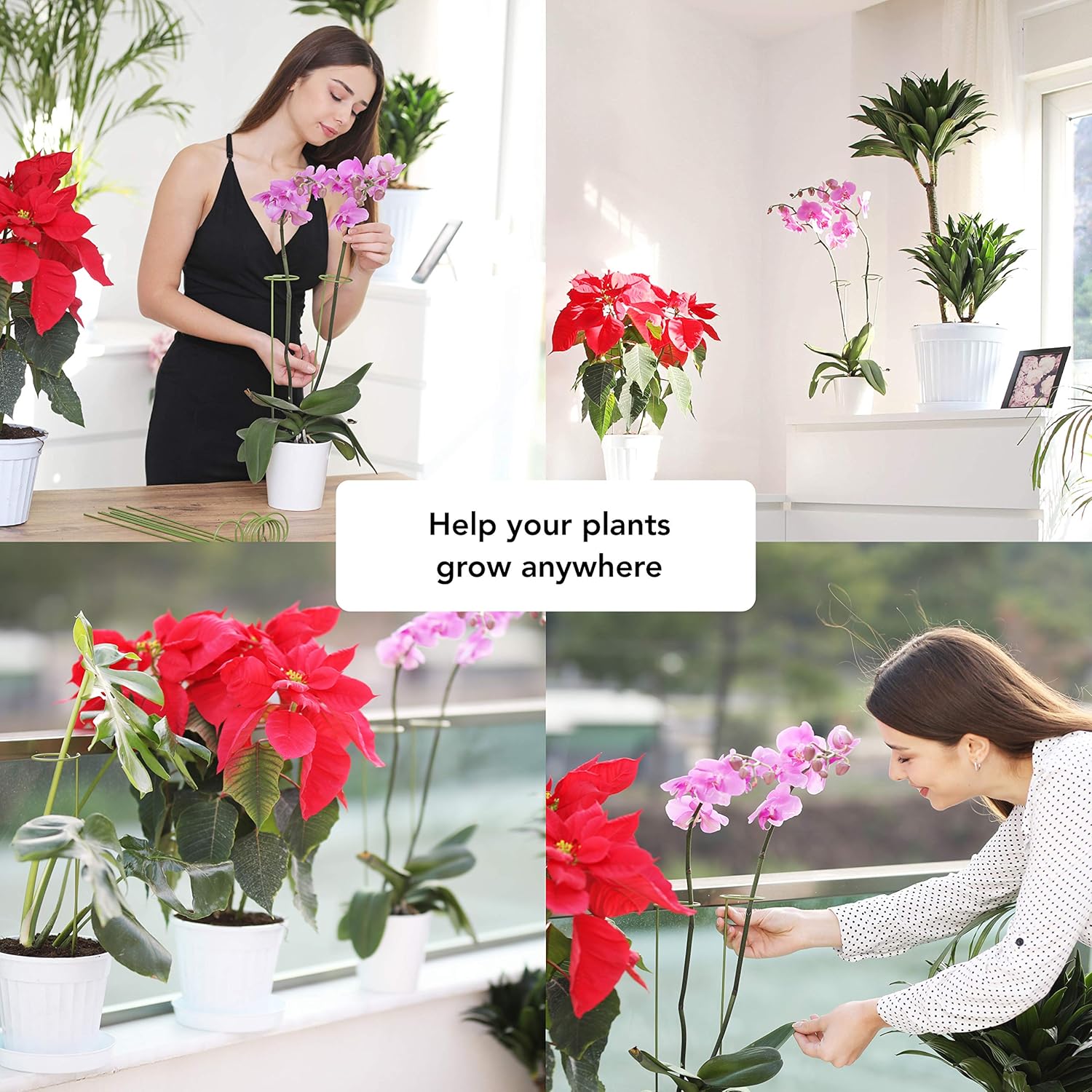 10 Tuteur Plante | Supports pour Plantes Grimpantes et Fleurs | Tuteur Vert | Aidez Vos Fleurs à Pousser | Tuteurs Tomates Jardin | Pieux à Orchidées, - 3