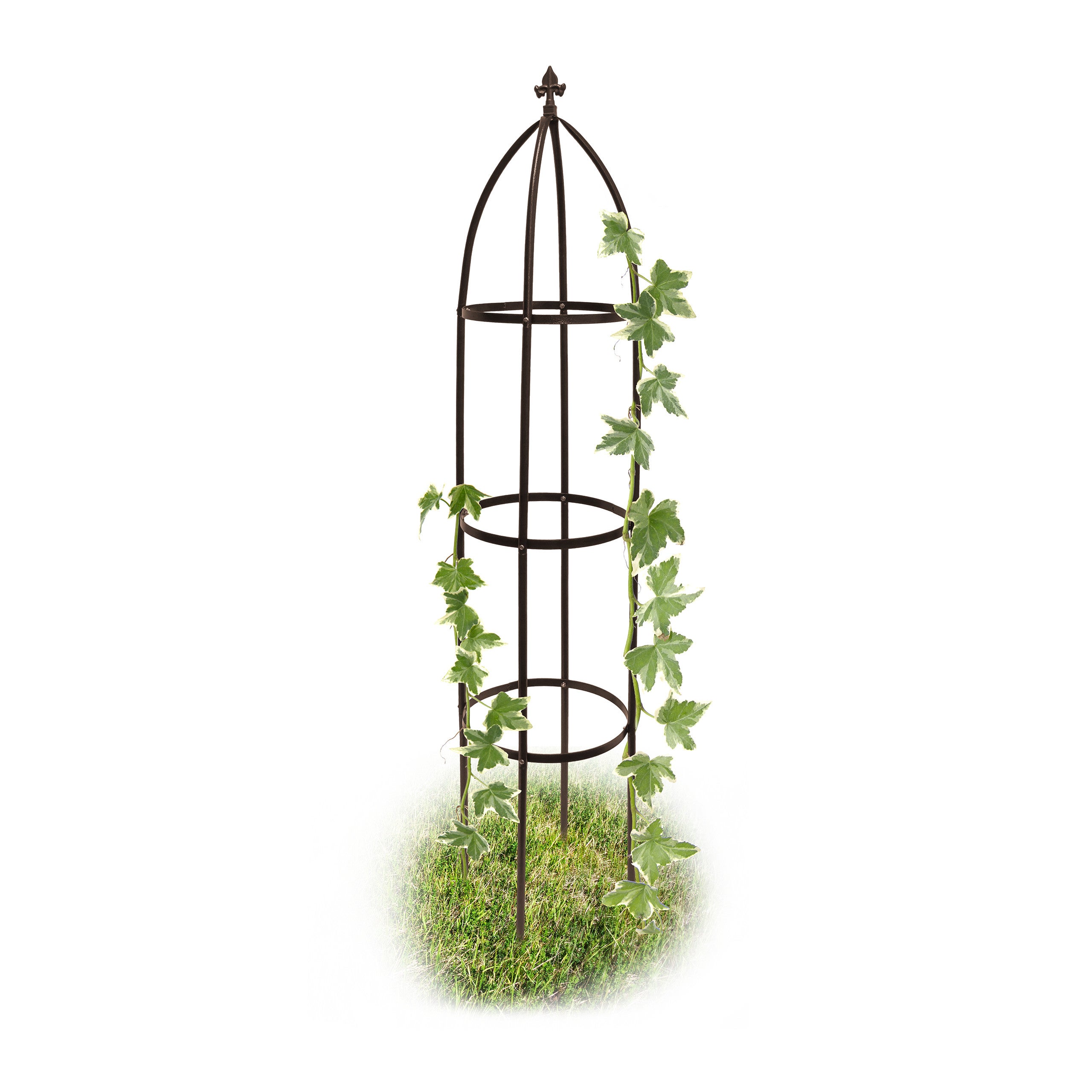 Obélisque De Jardin Métal 32x210 Cm – Support Pour Plantes Grimpantes (Rosiers, Clématites, Tomates…) – Décoratif Et Stable – Noir - 9