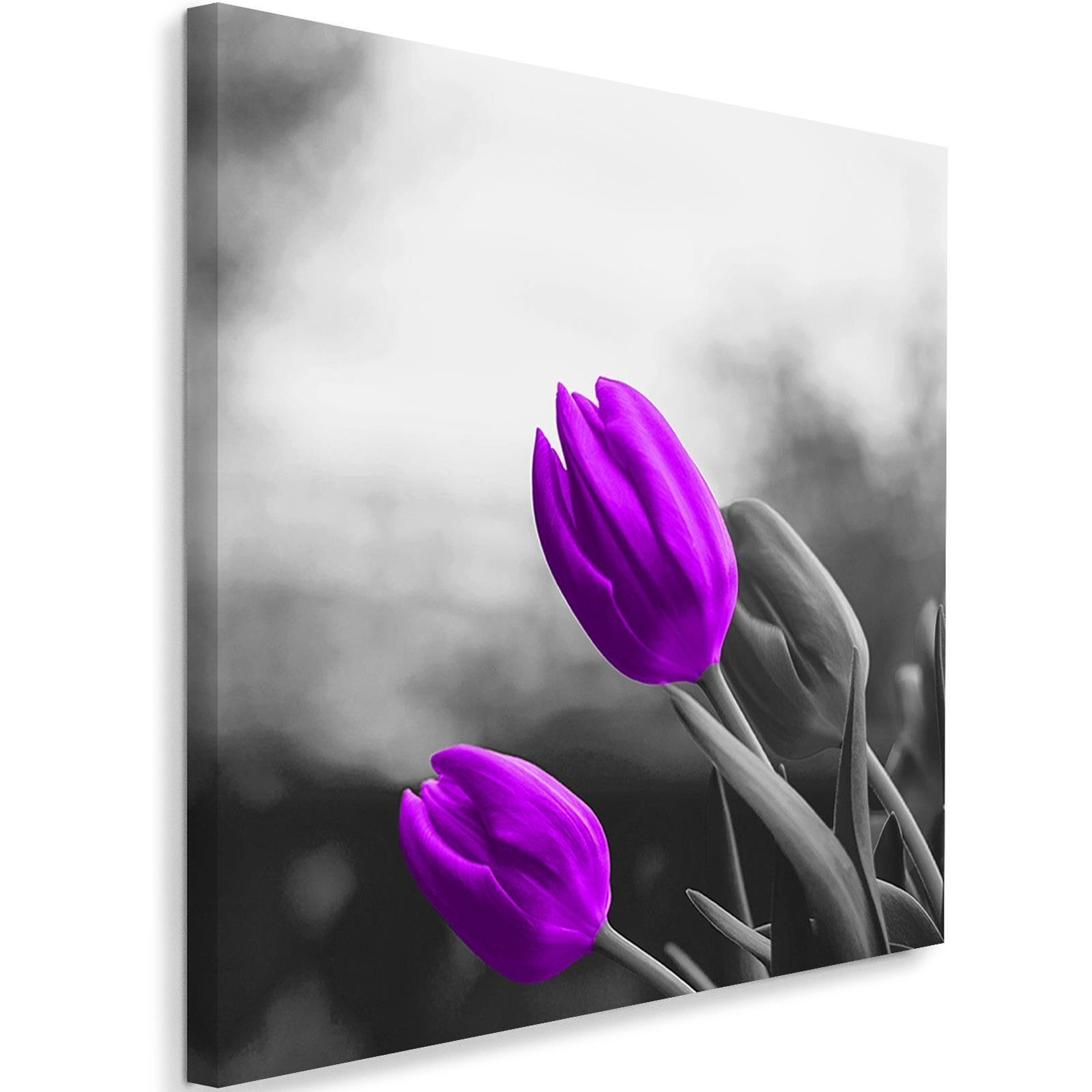 Obraz, Fioletowe tulipany kwiaty natura 60x60