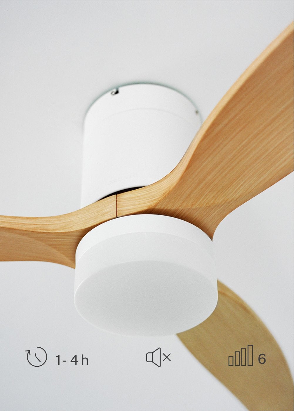 WIND CALM S - Ventilador de teto silencioso de 40 W com pás técnicas em ABS de vários tamanhos - Com luz - sem wifi - 6