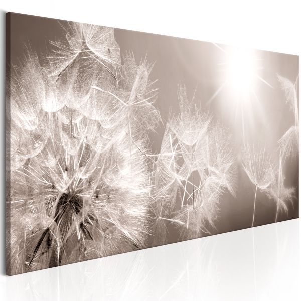 Tableau Fleurs Summer Dandelions 120x40 cm