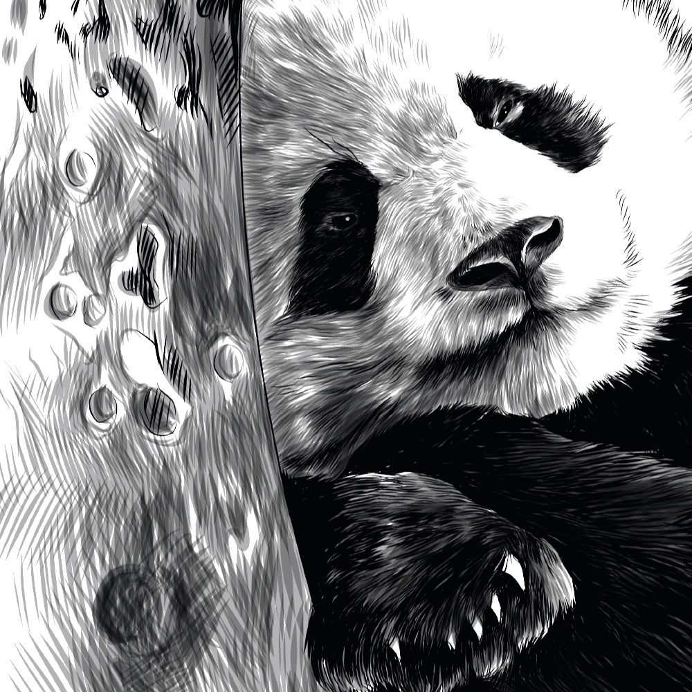 Stickers y vinilos decorativos infantiles, pegatina de panda sobre el dibujo de estilo luna en blanco y negro en lápiz, 68 cm x 48 cm - 3