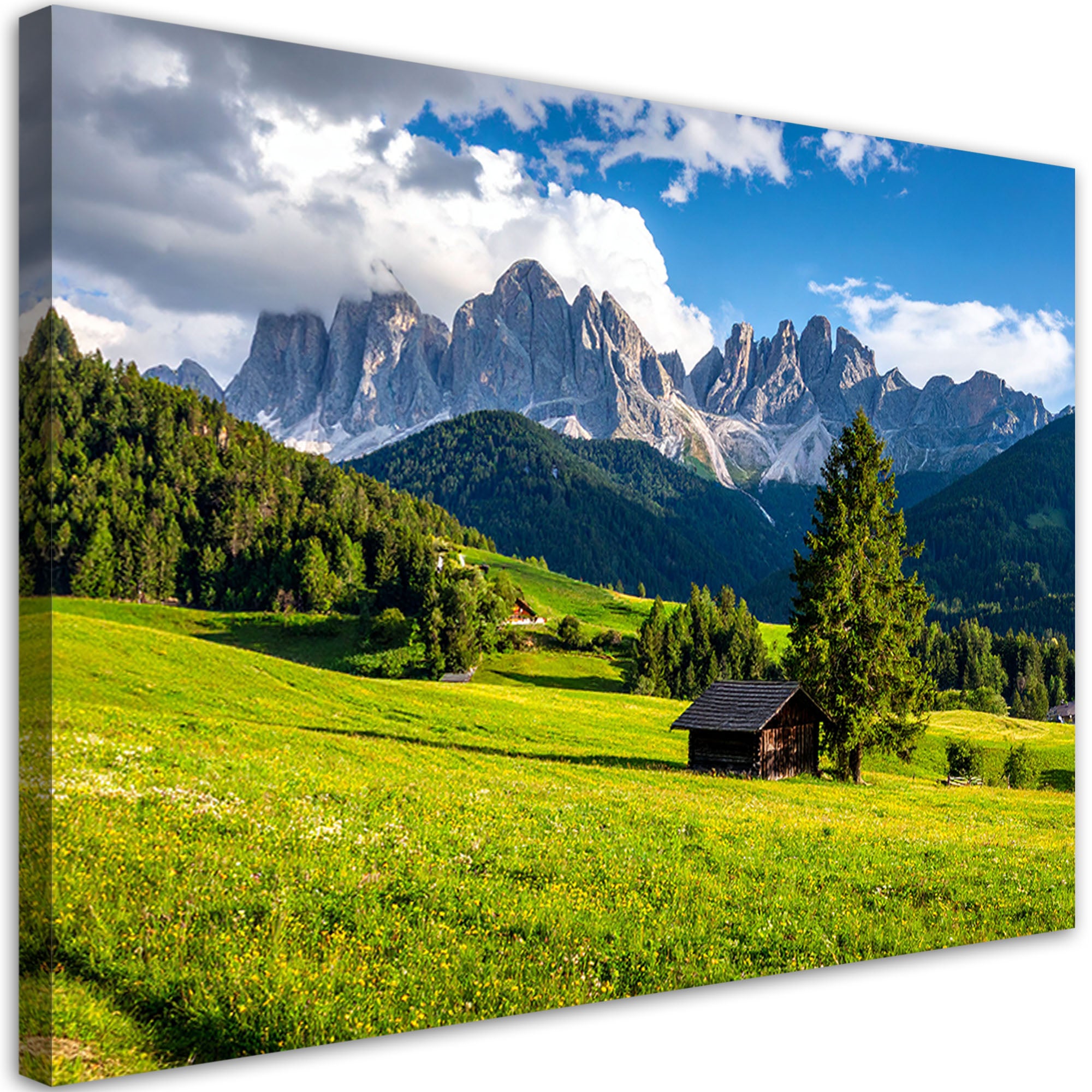 Obraz do salonu sypialni biura, Krajobraz góry doliny natura 60x40