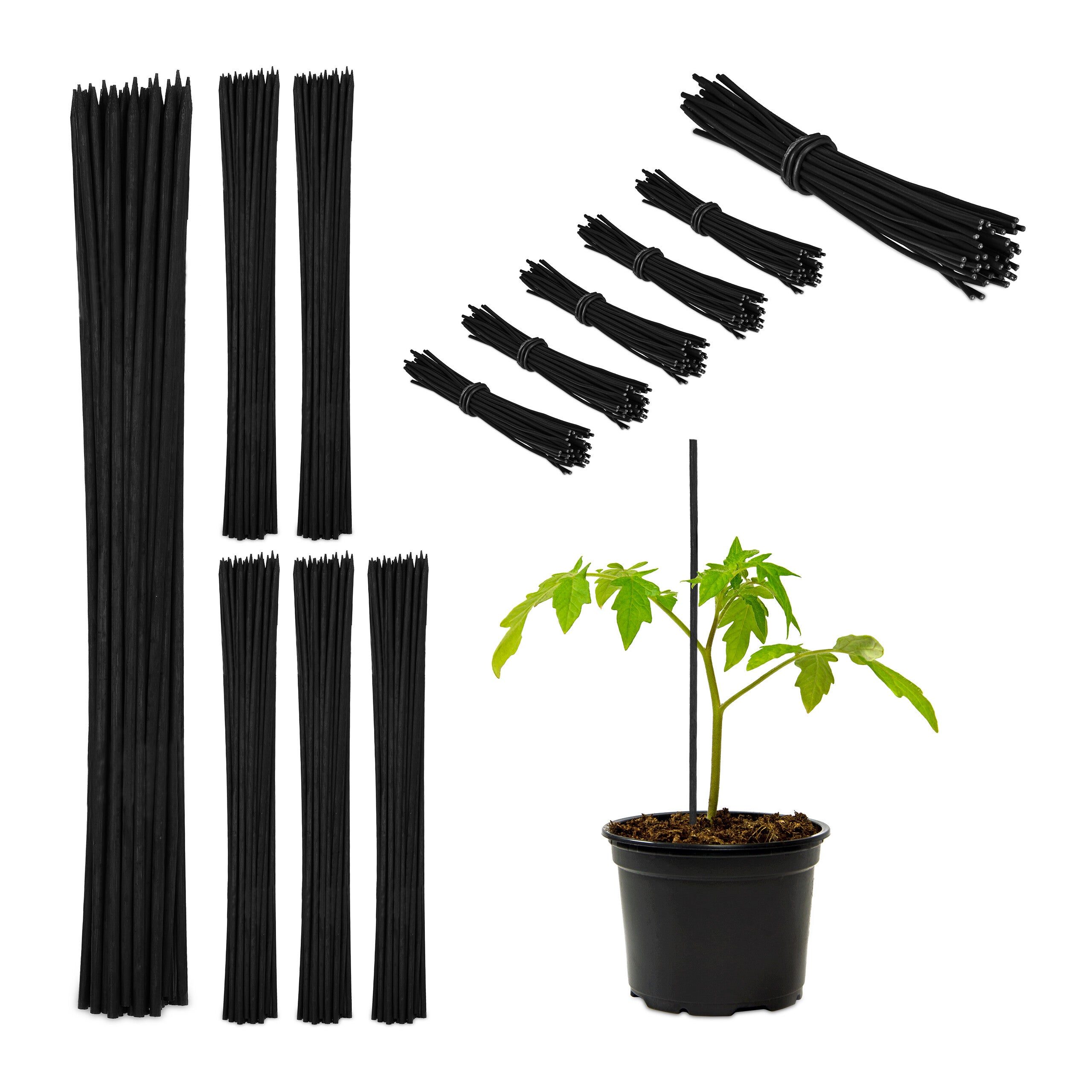 Tuteur tomates avec fil de fer lot de 300 pour jeunes plantes en