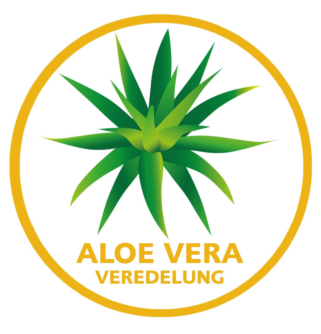 Billerbeck E21 King 5104880001 Coperta Super Leggera in Fibra 135x200 cm Colore: Bianco - 2