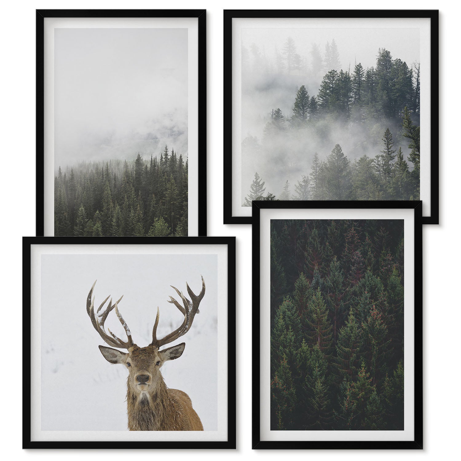 Ensemble de 4 tableaux encadrés | Forêts verdoyantes dans un cadre ...