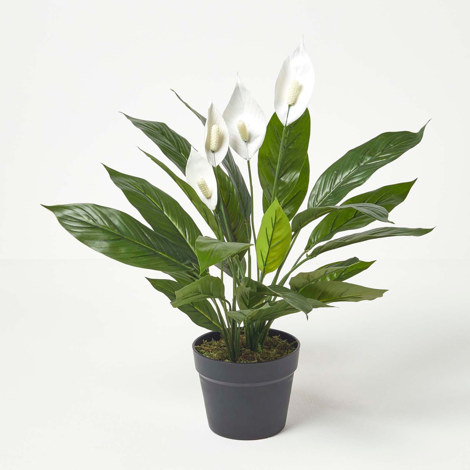 Homescapes Plante artificielle Arum en pot, 60 cm Leroy Merlin — free download