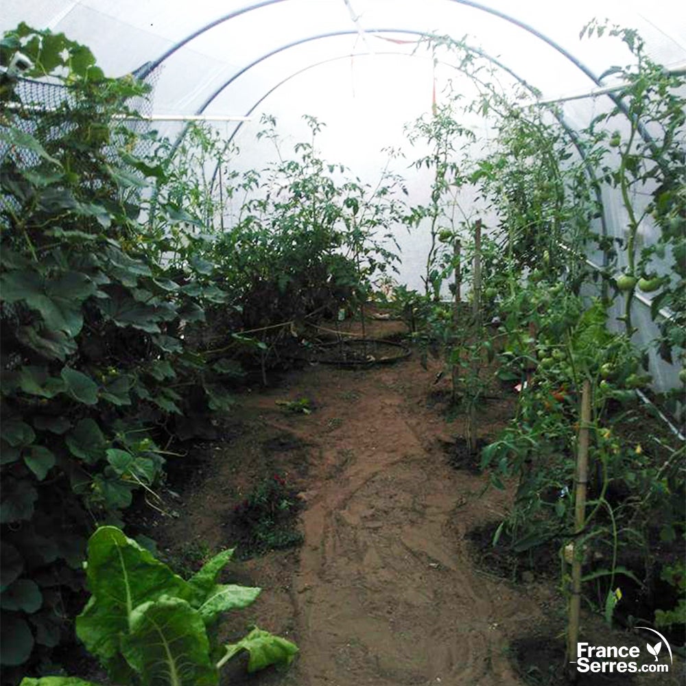 Serre tunnel 18m² avec fenêtres latérales et large porte enroulable - Bâche renforcée et structure Ø25mm - 4