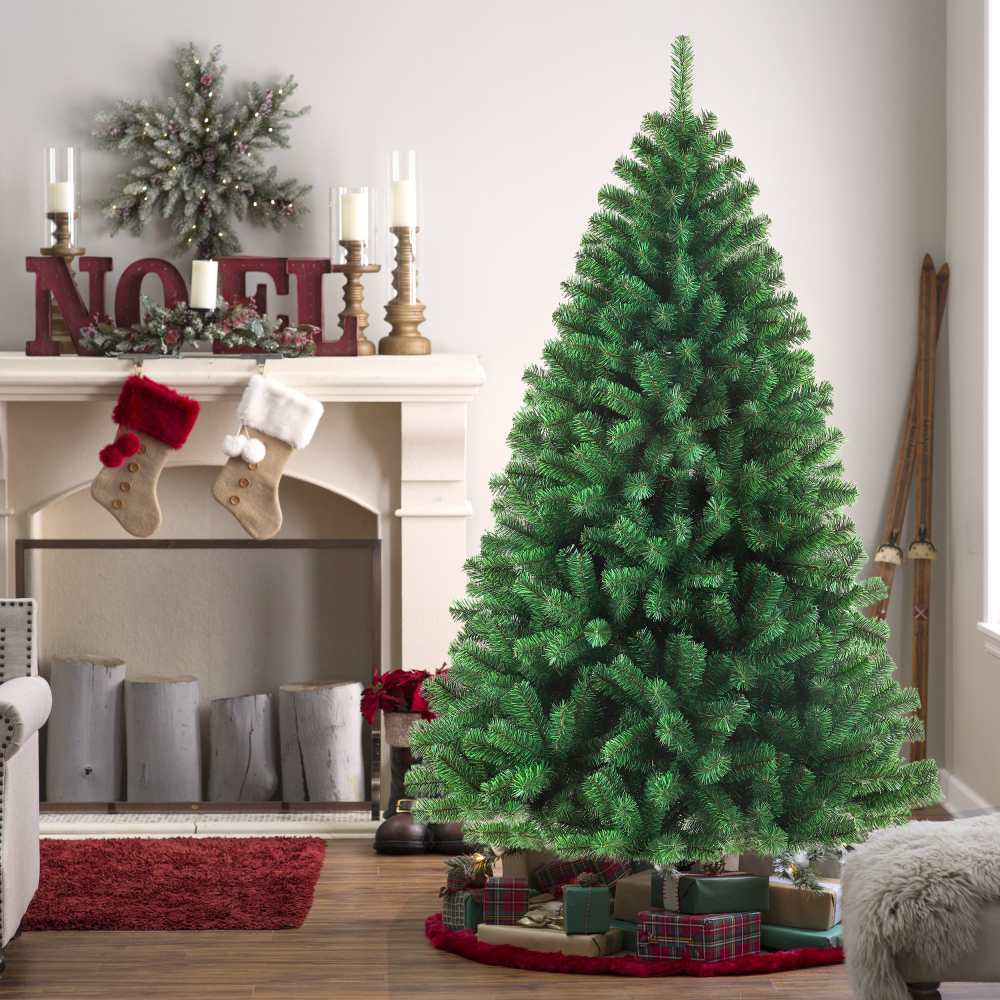 Sapin De Noel Raliste