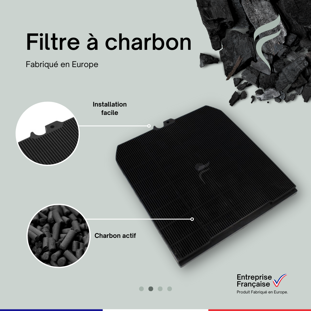 Filtro Carbone Zeo Microtech ZEOLITE 25 X 17,5 Cm LONG LIFE PER CAPPA Falmec Kacl961 Filtro Carbone Zeo Microtech ZEOLITE 25 X 17,5 Cm LONG LIFE PER CAPPA Falmec Kacl961