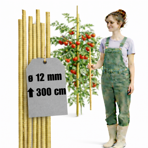 Tyczki kompozytowe do roślin fi 12 mm dł. 300 cm