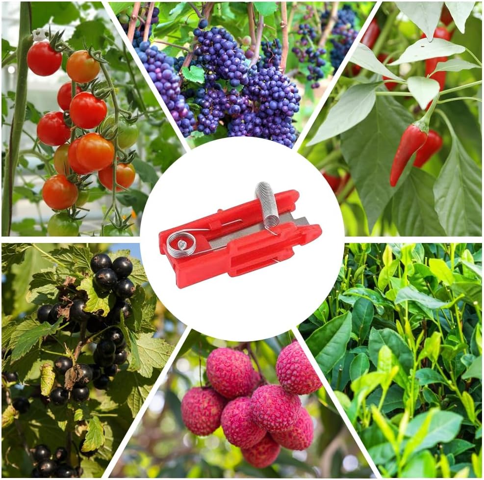 Couteau de jardin multifonctionnel pour couper les feuilles et cueillir les fruits, outil de récolte (rouge, lot de 10). - 7
