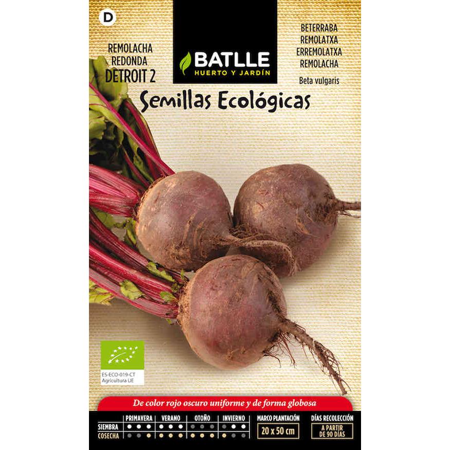 Semi Ortaggi Di Batlle - Barbabietola Detroit 2 (500 Seeds) | Leroy Merlin - Foto 3