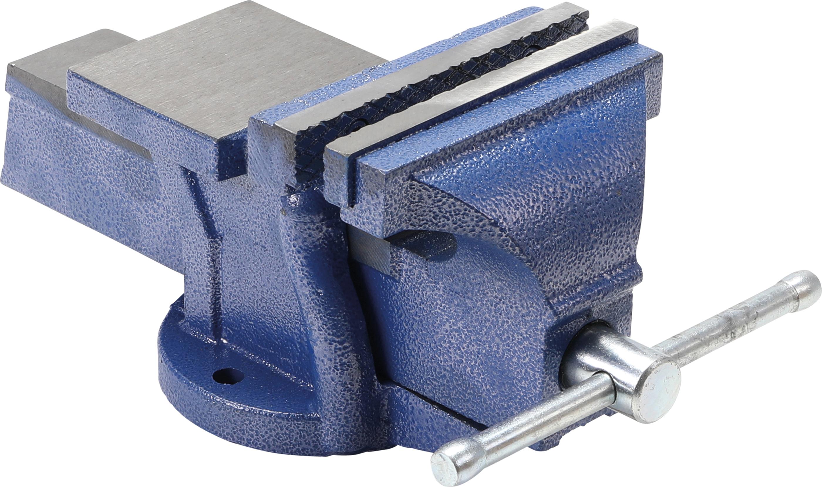 Imadło równoległe BGS 320 mm otwarcie 100 mm wymienne szczęki niebieskie