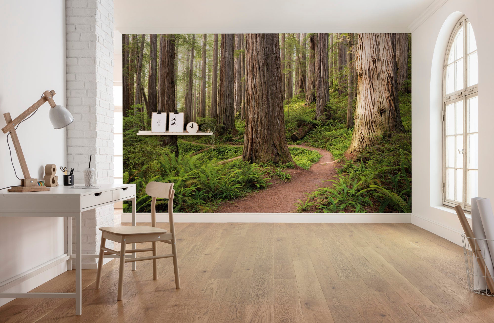 Fototapeta las zielonymIbeżowym - 450 x 280 cm - SANDERS &amp; SANDERS