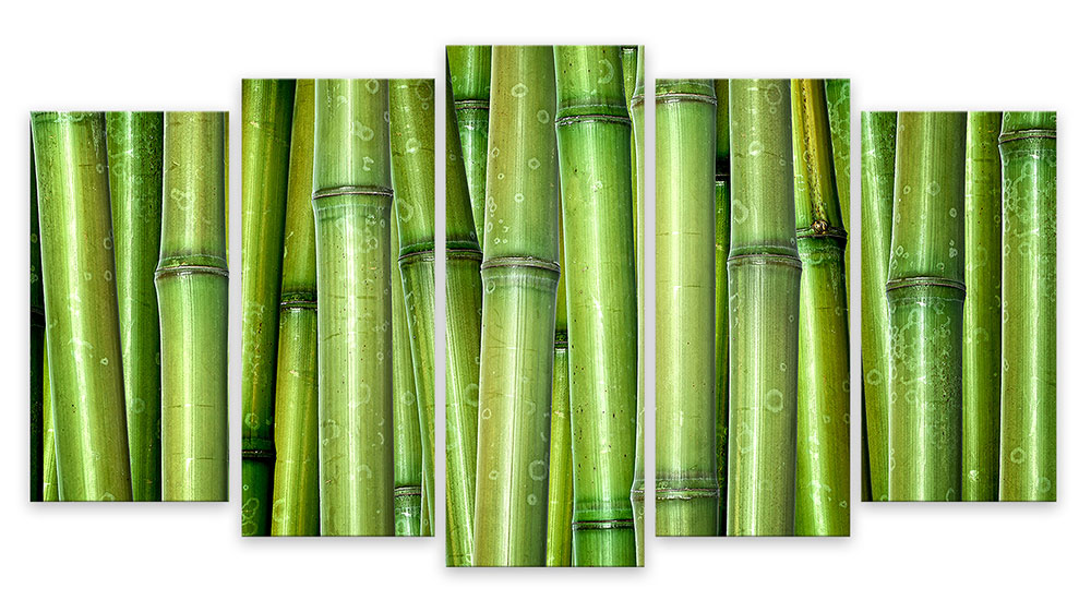 Tableau 5 parties deco tige de bambous - 150x80 cm | Leroy Merlin