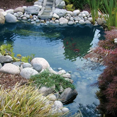 Bassin de jardin préformé Neptun 3800-L. - 2