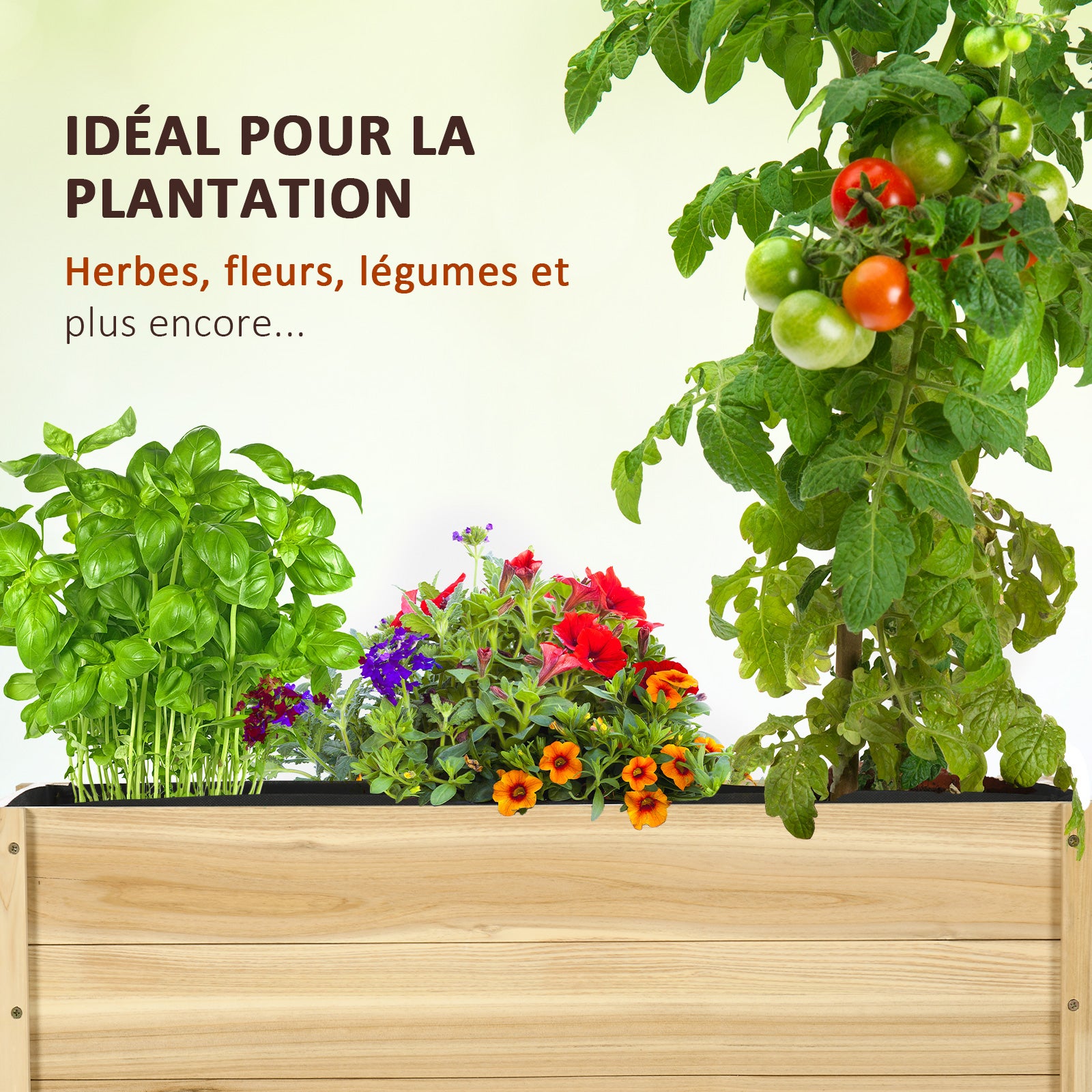 Jardinière sur roulettes inserts d'irrigation, feutre drainage sapin autoclave - 4