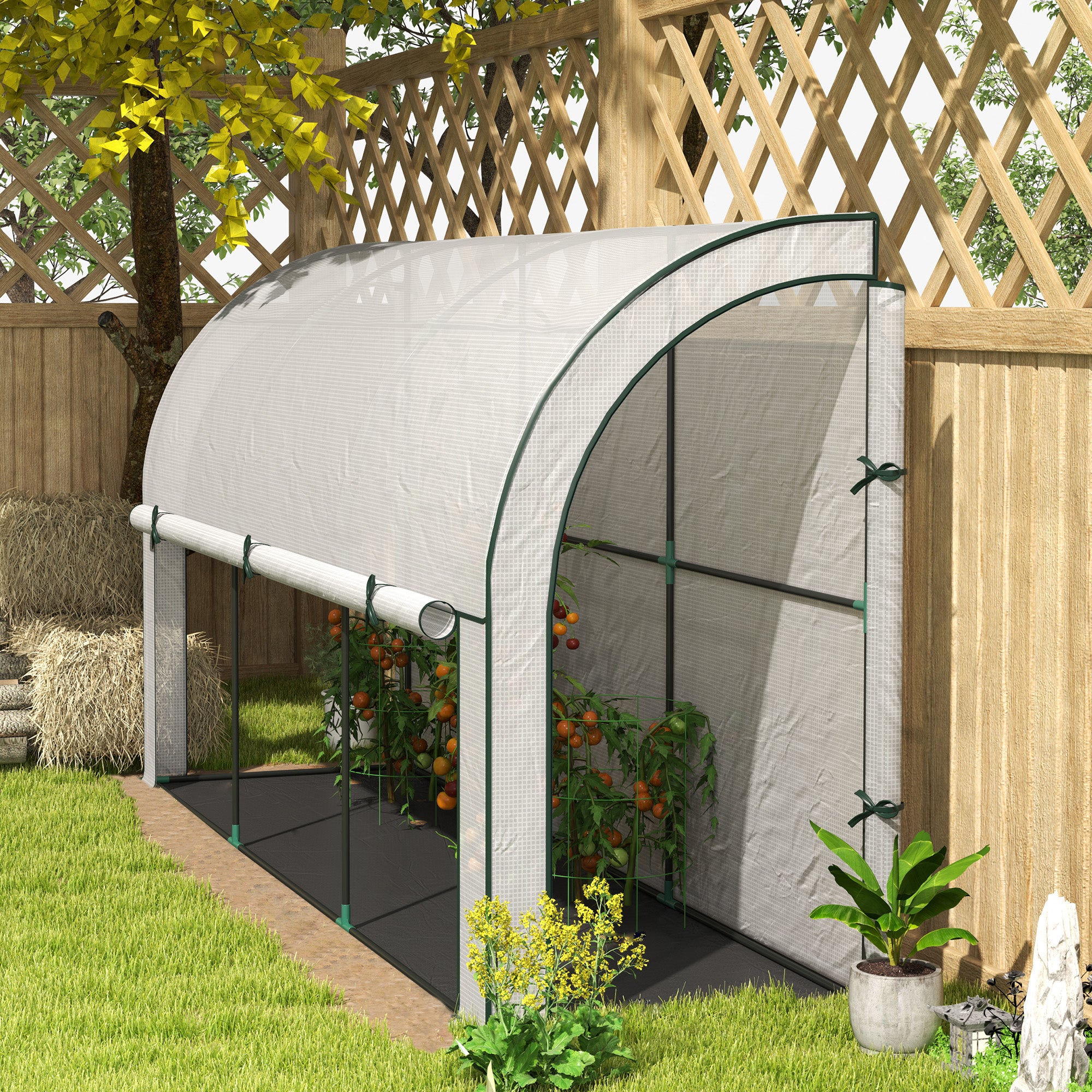 Serre murale, abri pour plantes accessible, bâche en plastique, 300 x 80 x 157 cm, blanche - 3