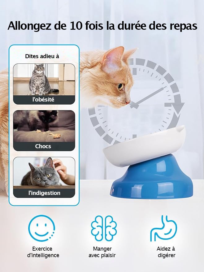 Y YHY Ciotola per cani e gatti per alimentazione lenta, ciotola inclinata rialzata, blu e bianca - 6