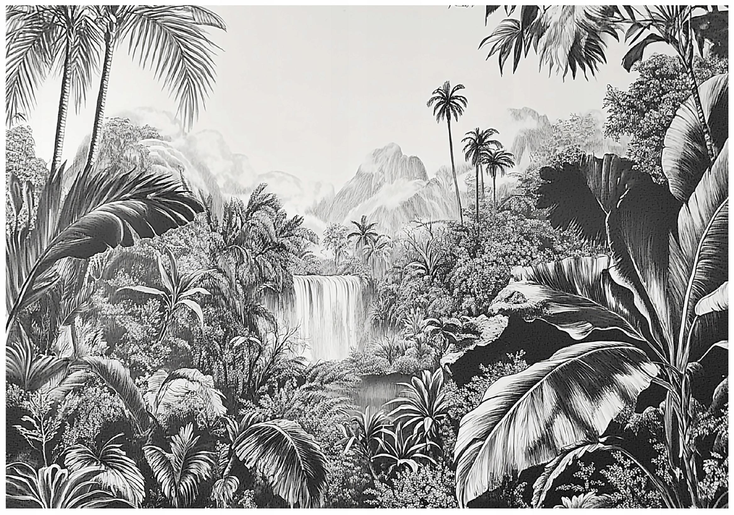 Papier Peint Panoramique Paysage Noir Et Blanc Papier Peint Intissé Panoramique Jungle Noir et blanc 350x250 cm