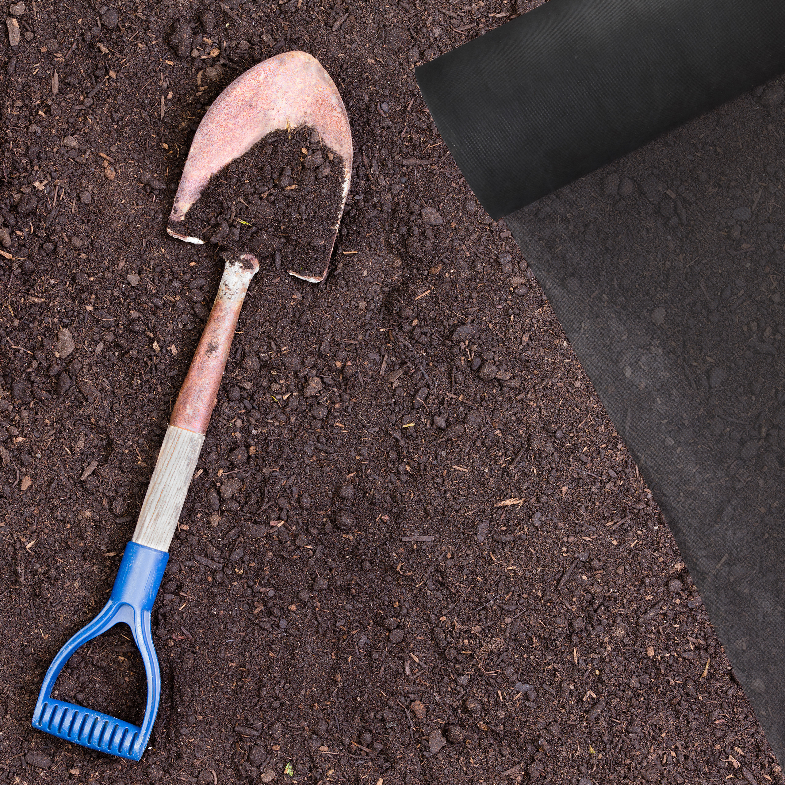 6x Toile anti-mauvaise herbe 5 m bâche tissée racines toile 50g/m² film paillage, Résiste rayons UV, antidéchirure, noir - 2