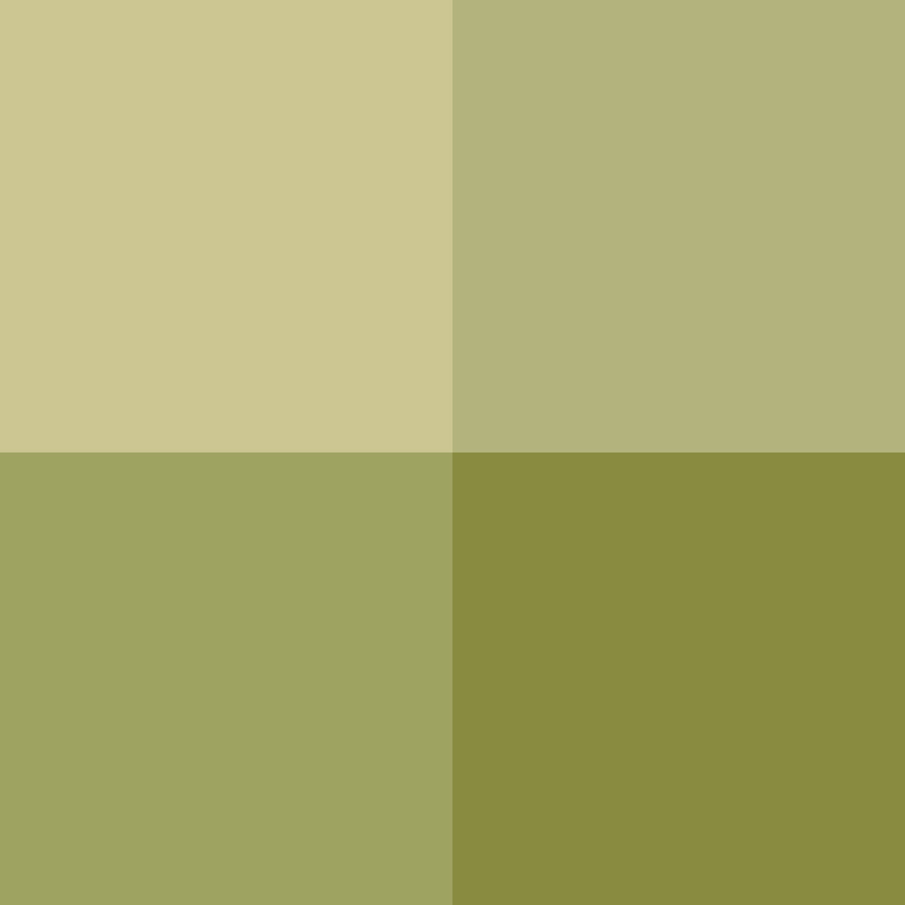 Pigments en poudre Cimcolor pour beton ciment enduit joint chaux Richard Cimcolor vert olive 1kg - 2
