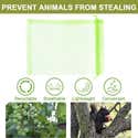 100 Sacs De Protection Fruits En Filet Avec Cordon - Taille S/M/L - Anti-oiseaux Et Insectes - Pour Raisins, Fraises, Légumes - Réutilisables