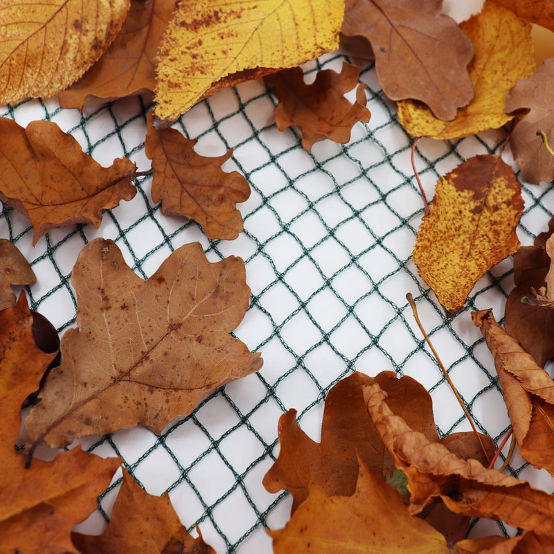 Siatka do stawu 8m x 8m Siatka na liście, Siatka, Siatka ochronna na ptaki, Wytrzymała