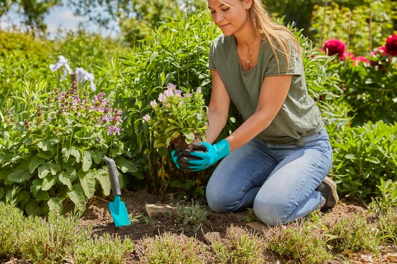 GARDENA Gants de jardin pour plantation (Taille 9 / L) (11512-20) - 3