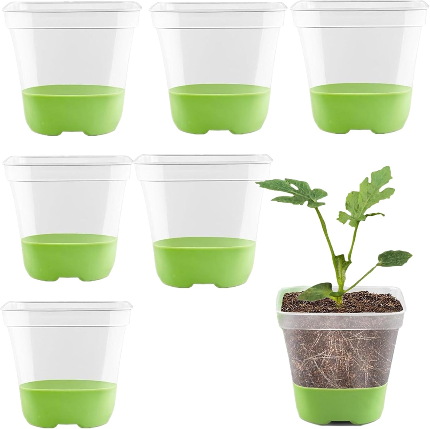 6-częściowe plastikowe doniczki na kwiaty z silikonową podstawą, przezroczyste plastikowe doniczki wielokrotnego użytku do sadzonek z 6 etykietami, do