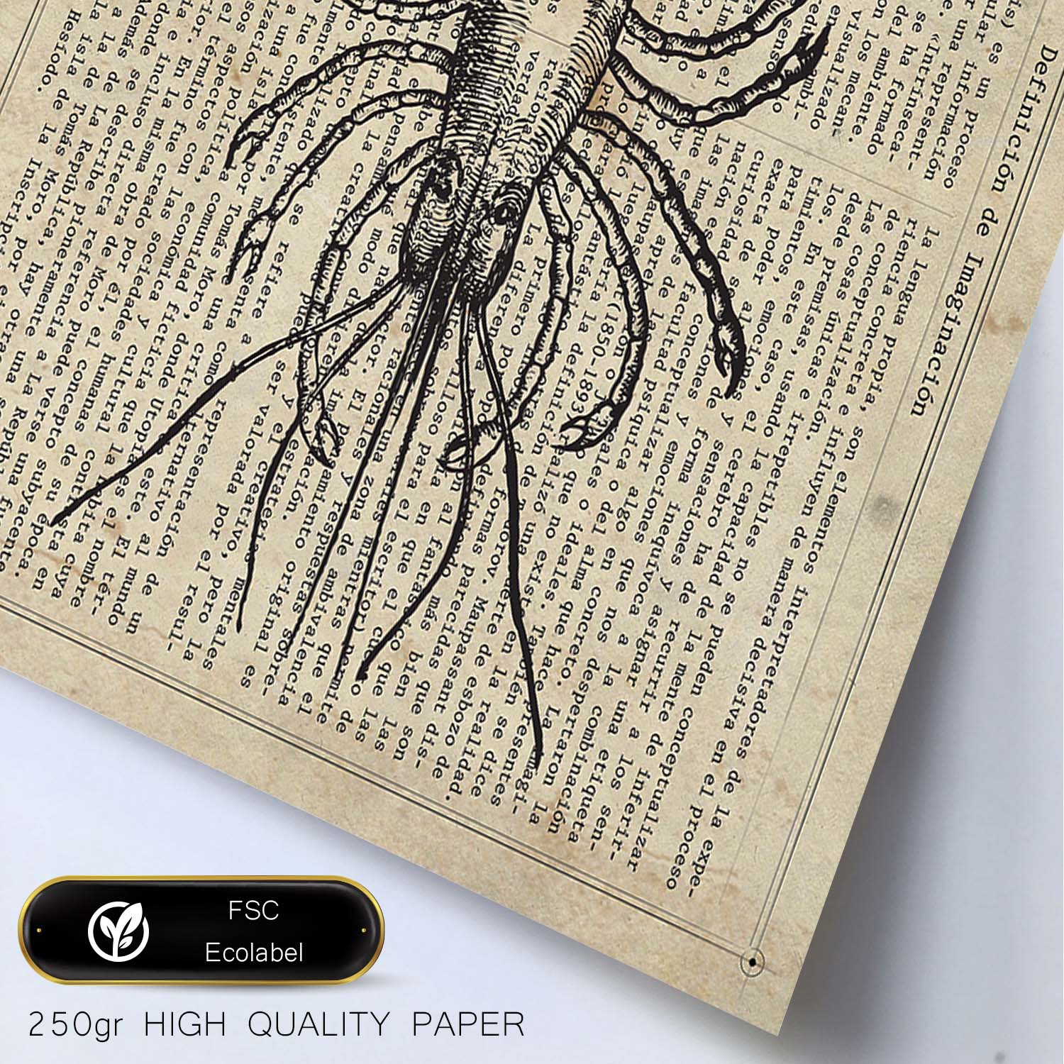 Affiches D'objets Vintage Lame De Homard Vintage Avec Des Images D'objets Vintage Avec Des Définitions En Espagnol Cadre En Bois Clair A3 - 2