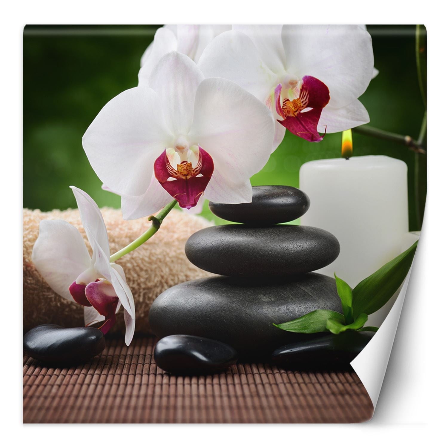 Fototapeta, Orchidea świeczka i kamienie zen w SPA 100x100