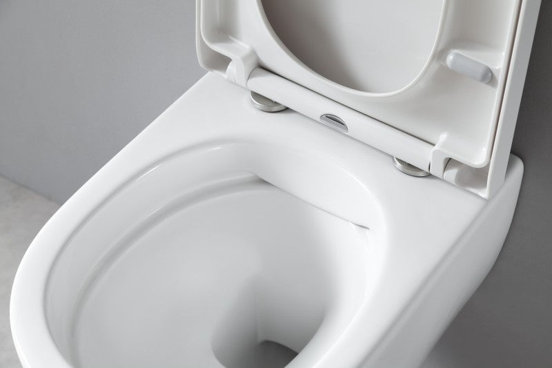 BERNSTEIN - Pack complet WC suspendu Blanc 36x55x33cm (LxPxH) + Module sanitaire Blanc 48x11x100xm (LxPxH) - Garantie 5 ans - 3