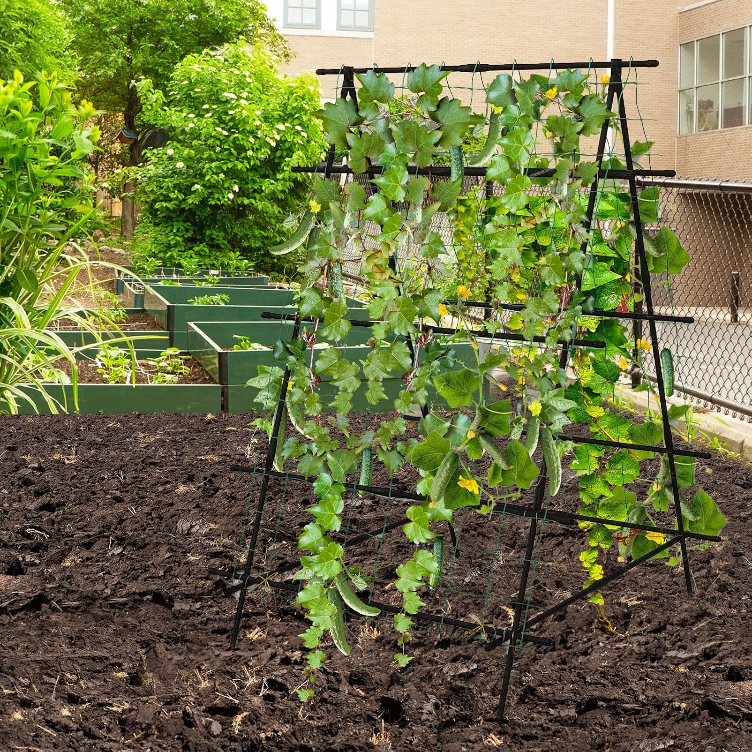 Traliccio ad da giardino, traliccio da giardino per piante rampicanti, piante rampicanti, torre di rose | traliccio per piante rampicanti decorazione floreale verde militare cortile rotondo meteo