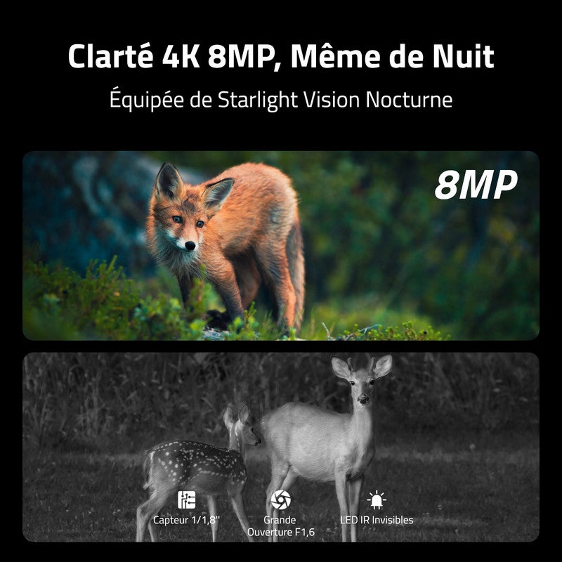 Camovue Caméra de surveillance 4K Batterie 4G Extérieur, Carte SIM, Vision Nocturne, Reconnaissance d'Espèces - 3