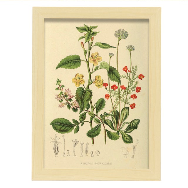 SXXRZA Decorazione murale 3x50x70cm Senza Cornice Testa di Fiori nordica Donna Dipinti su Tela Feather Girls Immagini per pareti Decorazioni per la casa