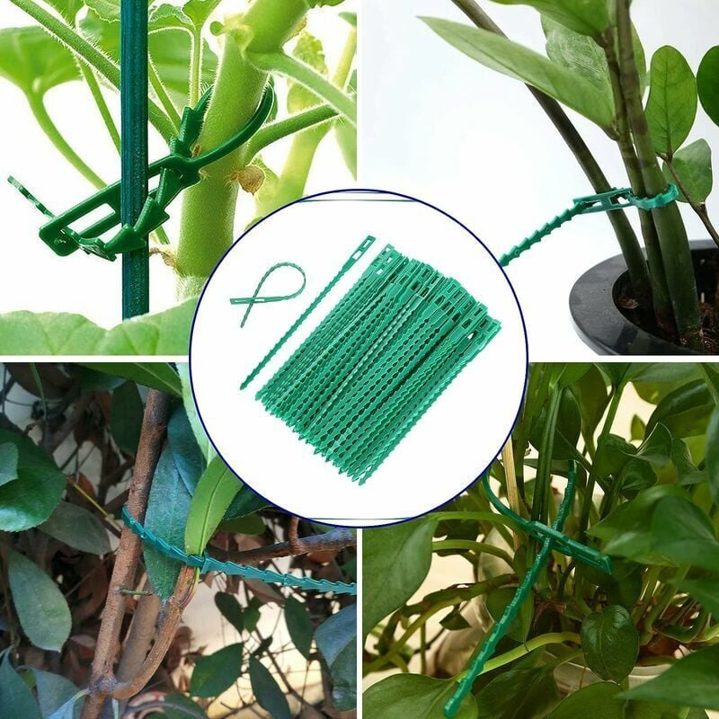 Lot De 8 Attaches Réglables Pour Arbres Et Arbustes - PVC Résistant, 45 X 2,5 Cm, Pour Soutien Et Jardinage