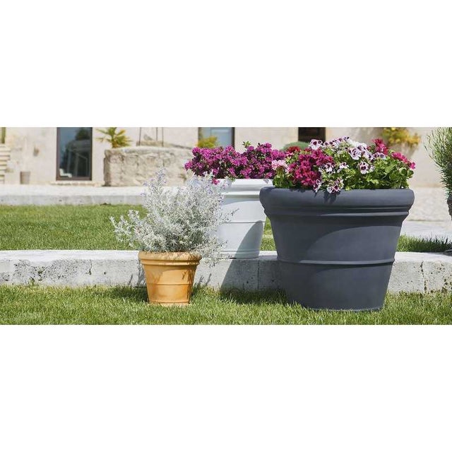 POTS D'ORCHID ES EN Plastique Transparent Pour La Maison Et Le Bureau