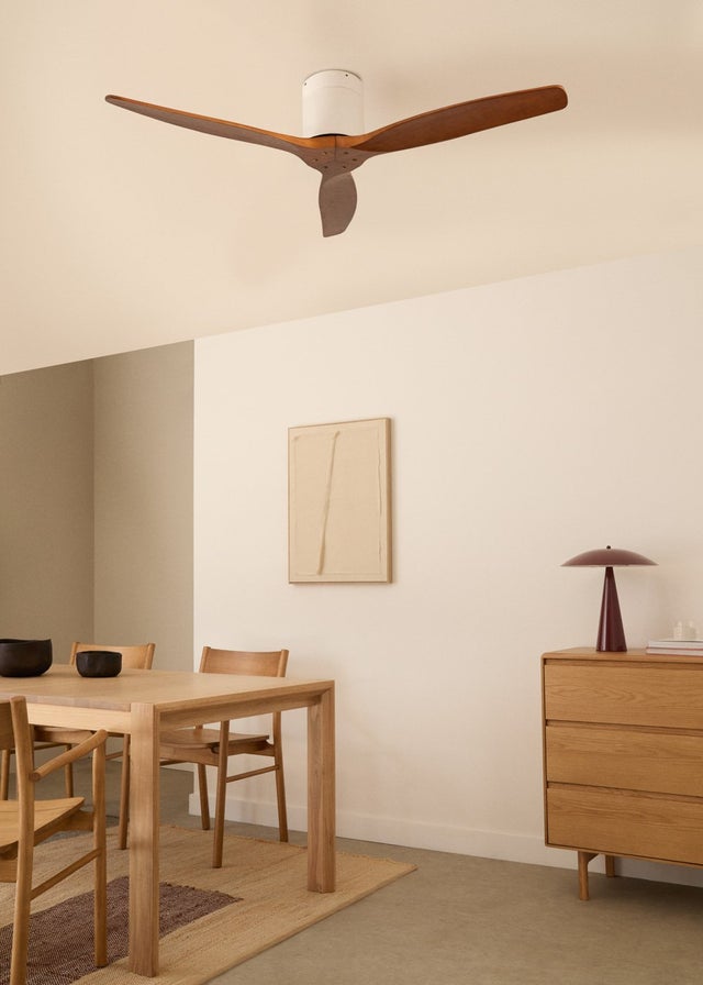 WINDCALM DC - Función Verano/Invierno - Ventilador de Techo 40W Silencioso Ø132 cm sin luz con controlador de pared