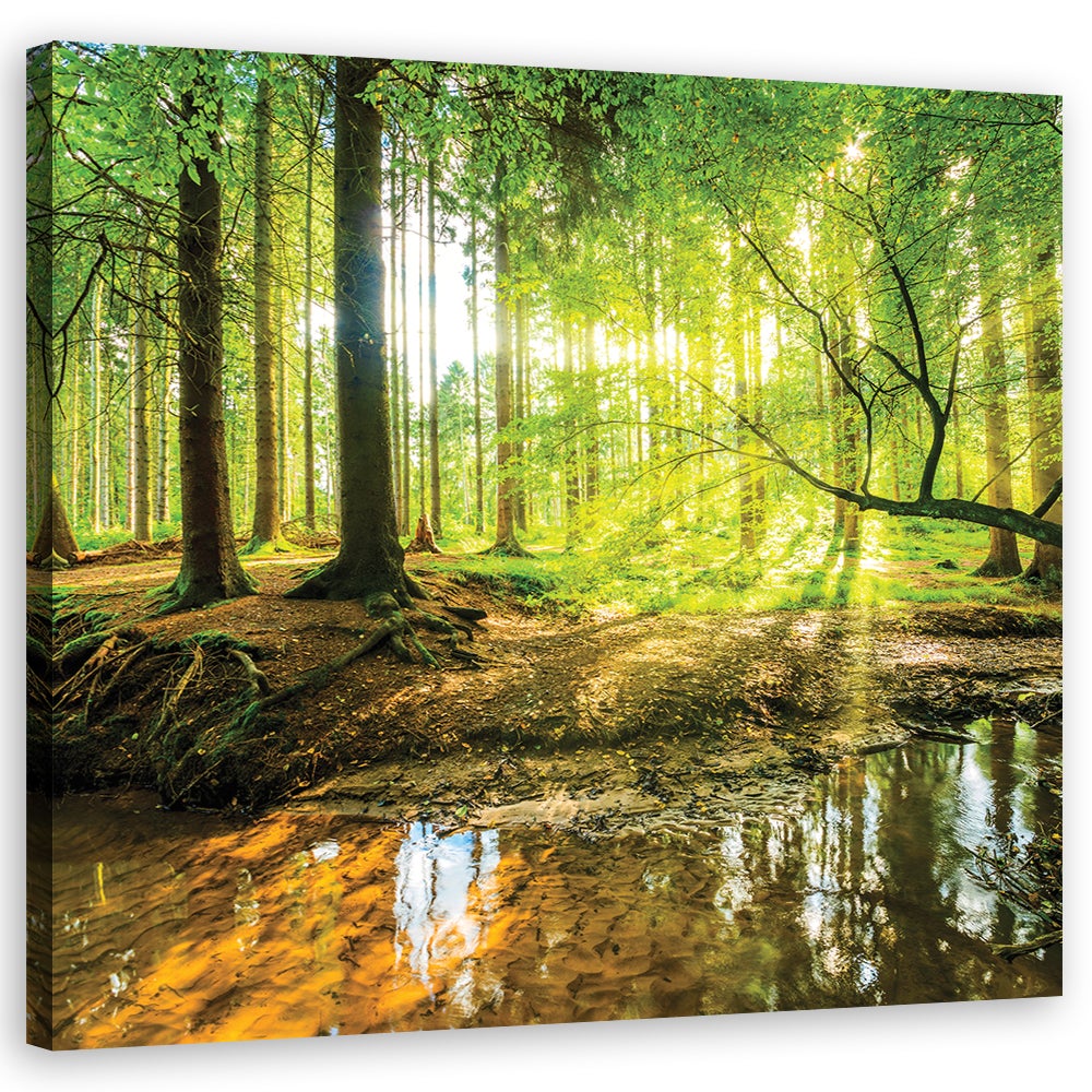Obraz na płótnie, Las Jezioro Natura 30x30