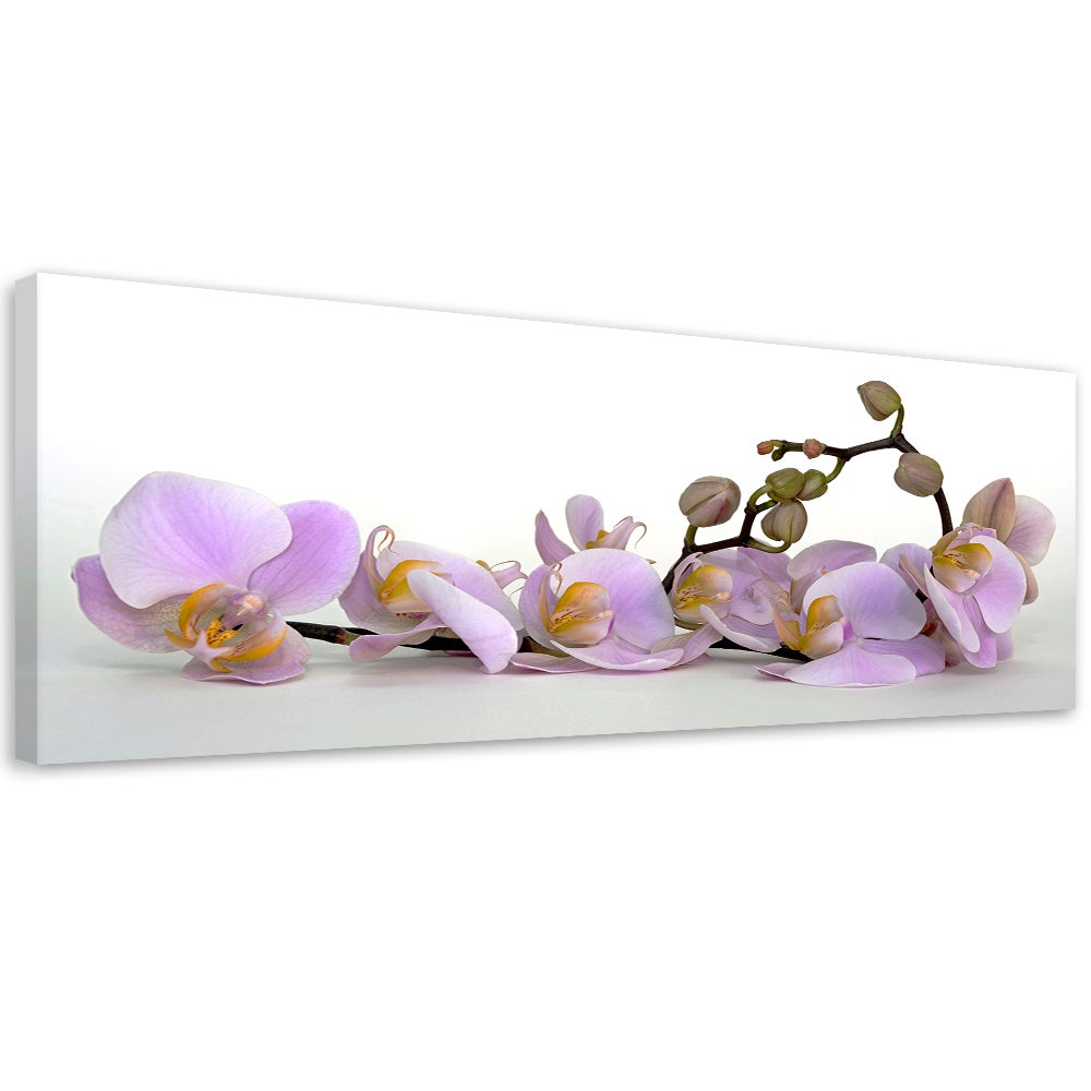 Obraz na płótnie, Kwitnący kwiat orchidei 120x40