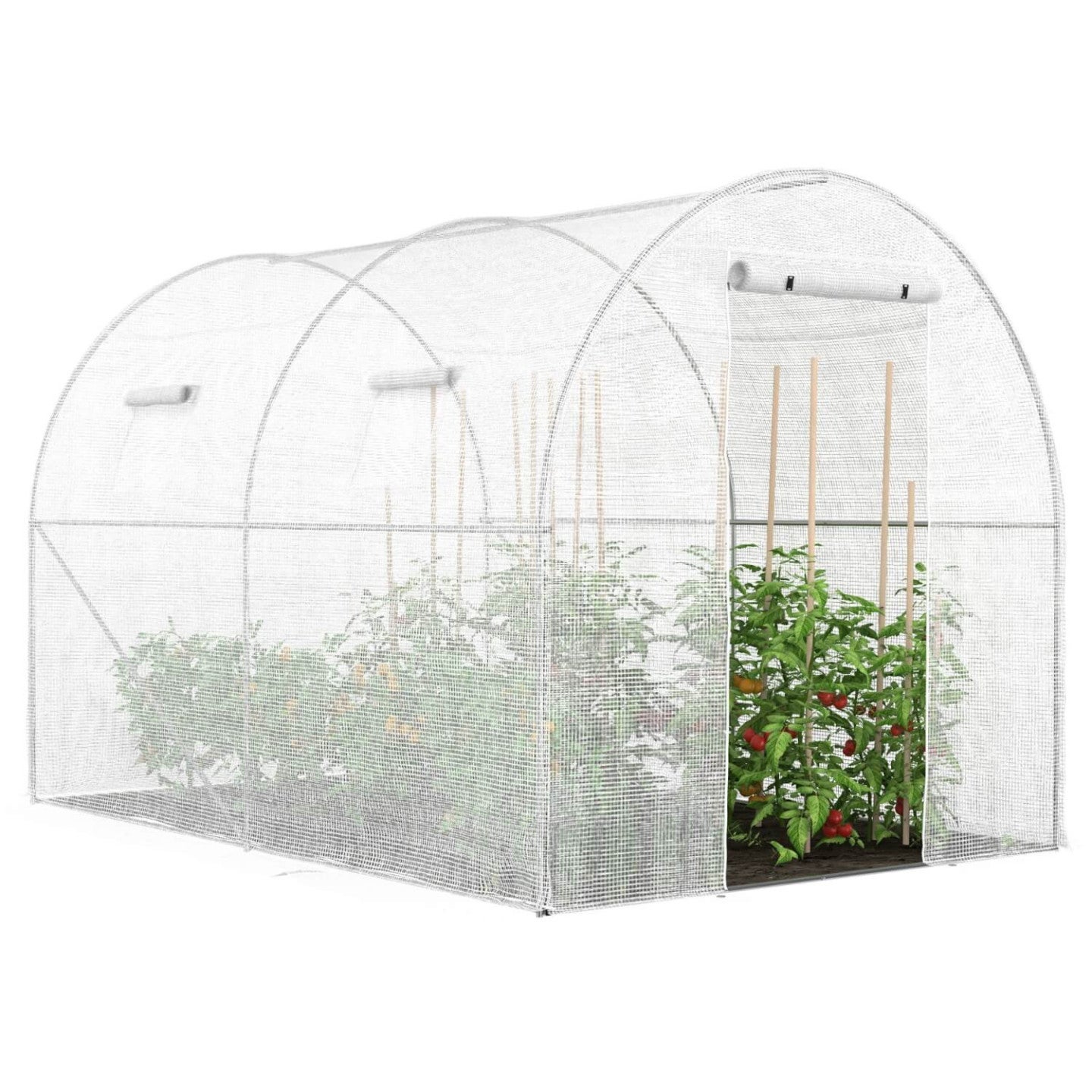 Serre de jardin tunnel 6m² 3 x 2 x 2 m acier galvanisé + bâche anti-UV avec porte et fenêtres ROMA blanche - 2