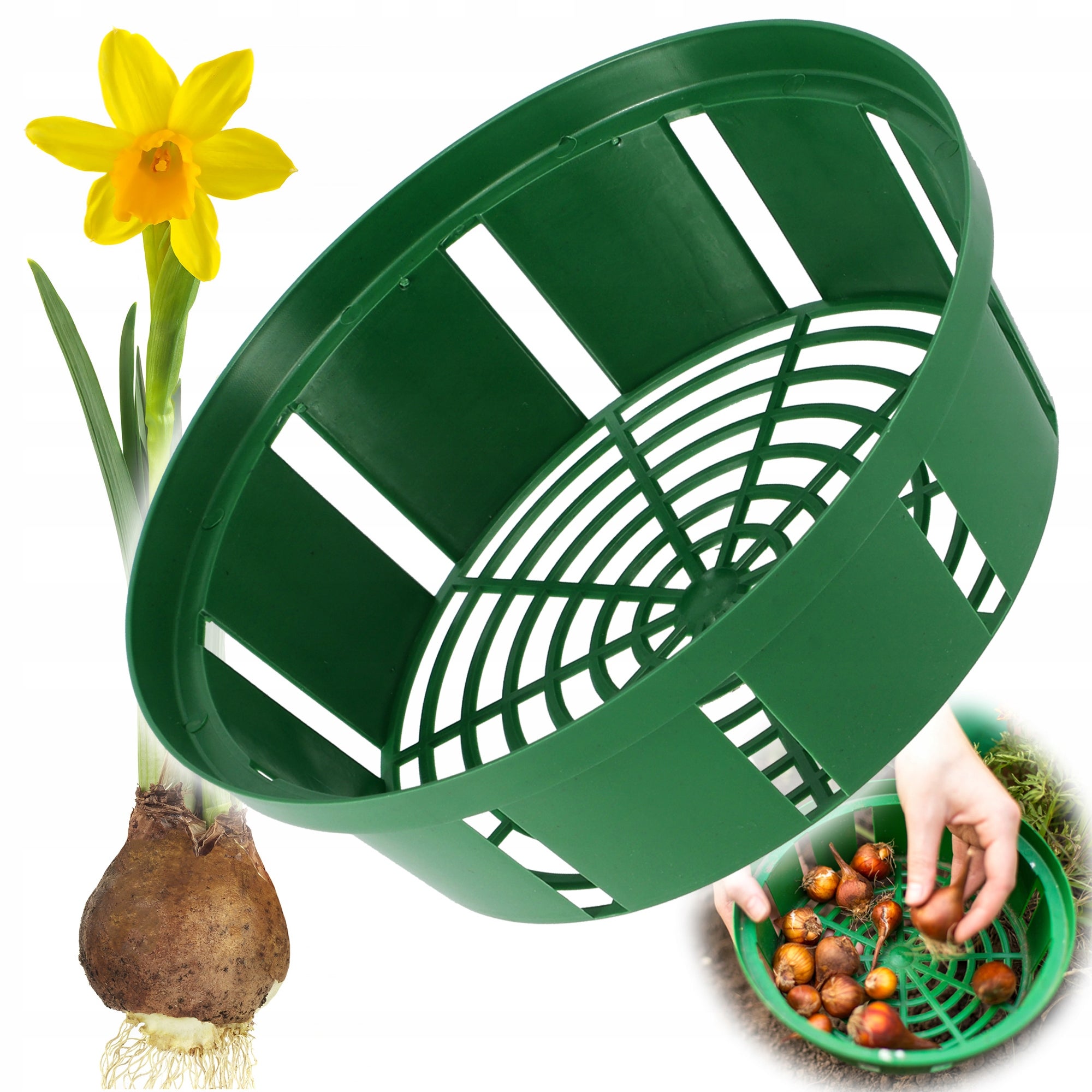 KOSZYK OSŁONKA NA CEBULE CEBULKI KWIATOWE TULIPANY DO SADZENIA OSŁONKI 18cm