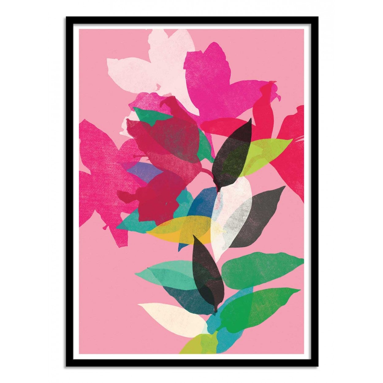 Art-poster - pink lily - garima dhawan - con marco negro 50 x 70 cm