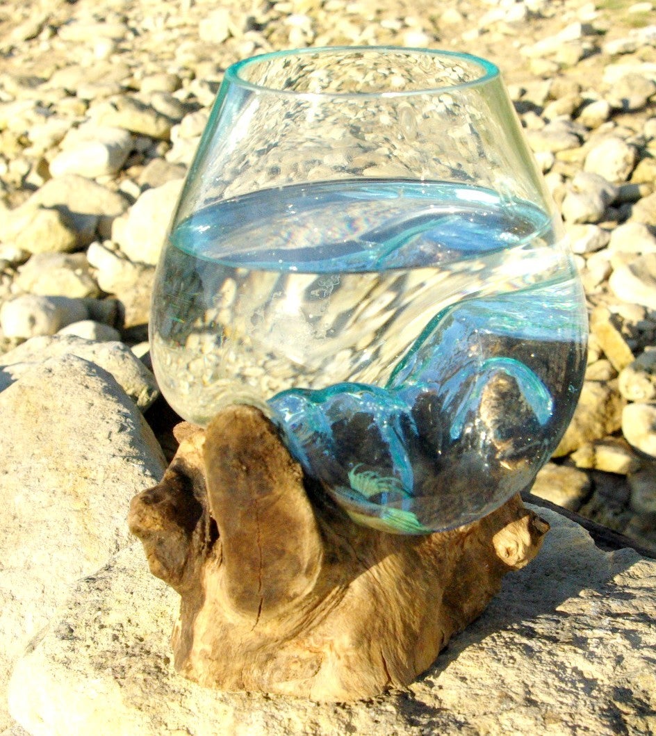 vase ou aquarium en verre soufllé sur racine de bois, hauteur environ 25cm, modèle unique - 2