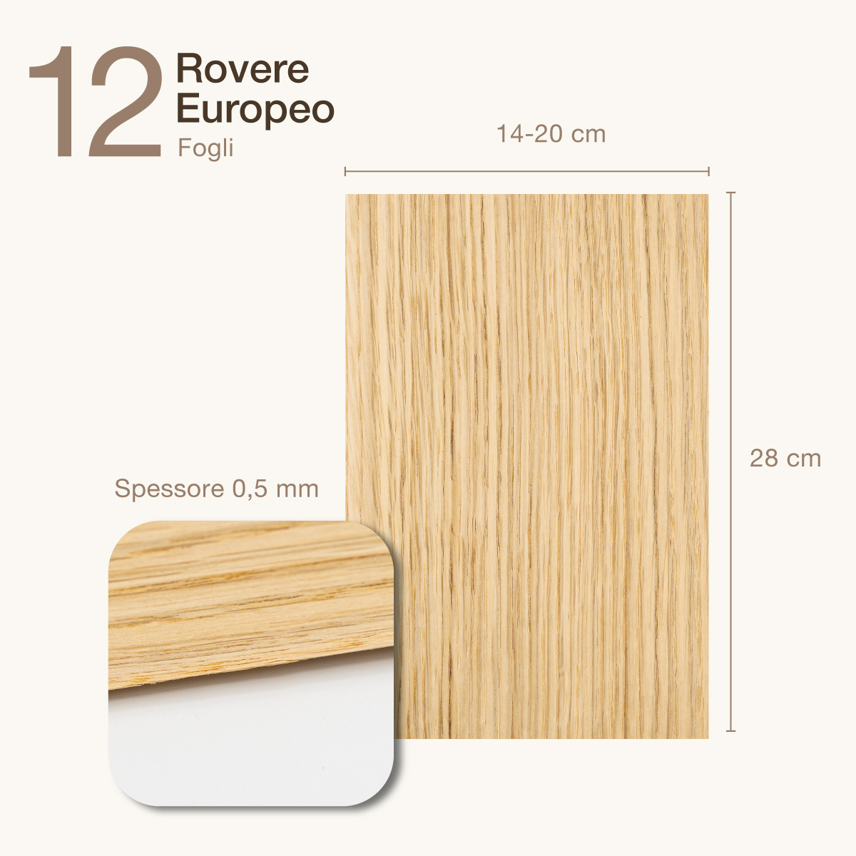 12 FOGLI DI IMPIALLACCIATURA IN LEGNO DI ROVERE EUROPEO - 2