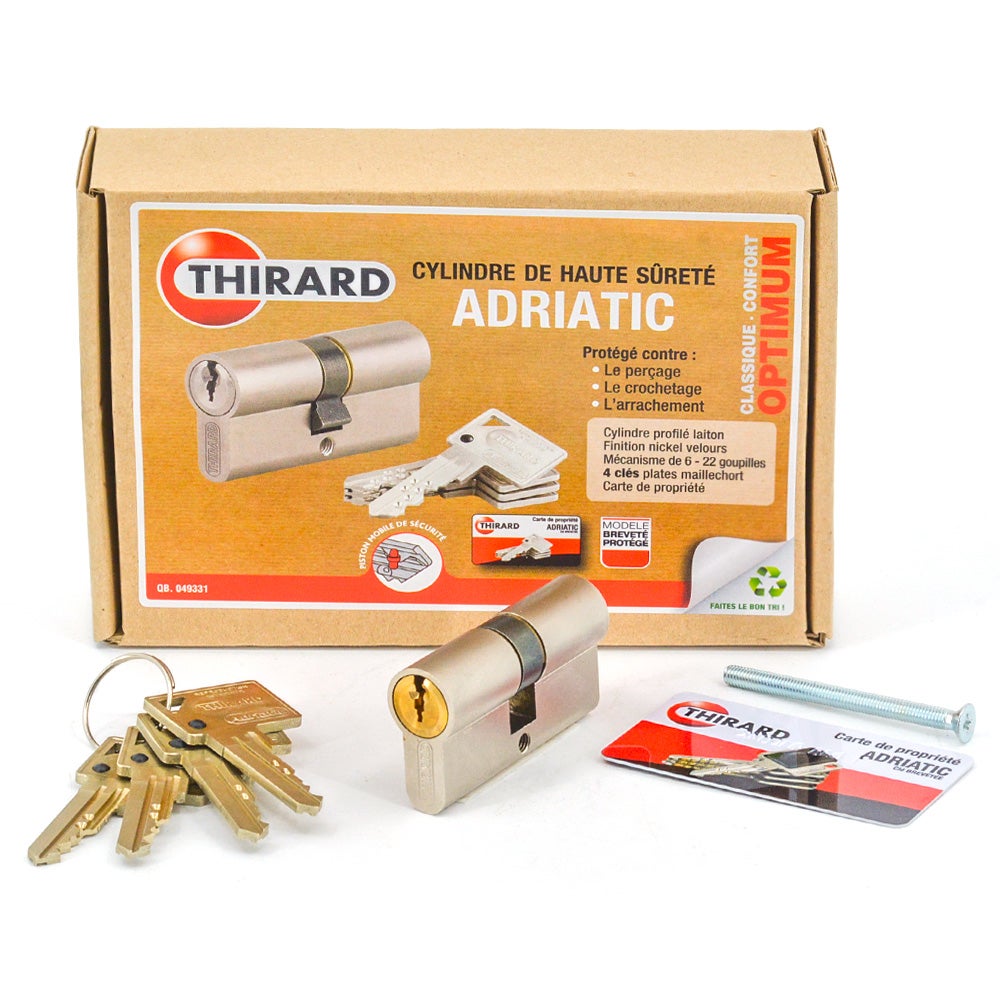 Cylindre De Sécurité Nickelé Thirard Pour Porte Transit 2 - 30x10mm - Neuf